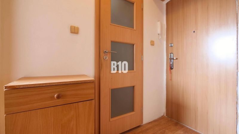 Entrance door and wooden cabinet with wood-decorated flooring in a studio apartment.