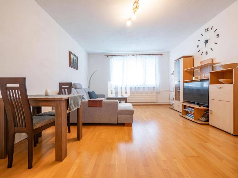 Living room with wood-patterned flooring in a 2-room apartment with a sofa and a dining area.