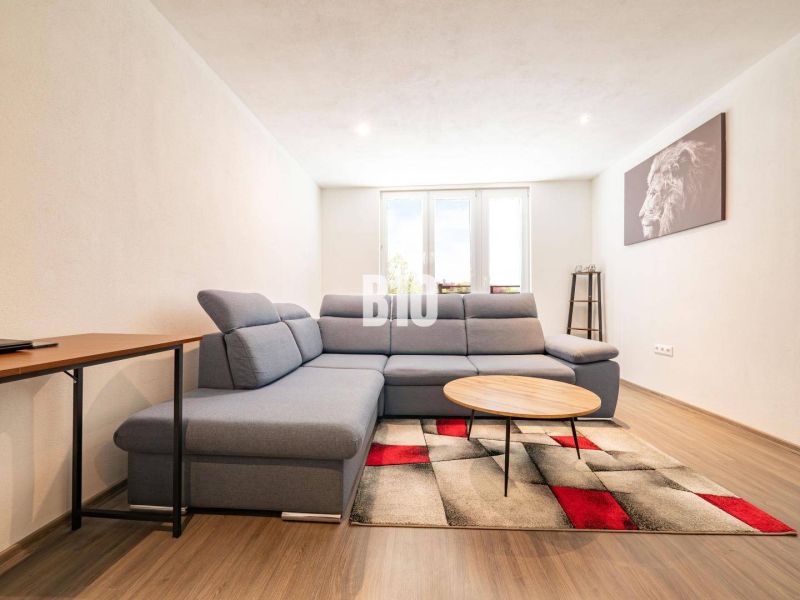 Living room in a two-room apartment with a gray sofa, wooden table, and floor with a wooden decor.