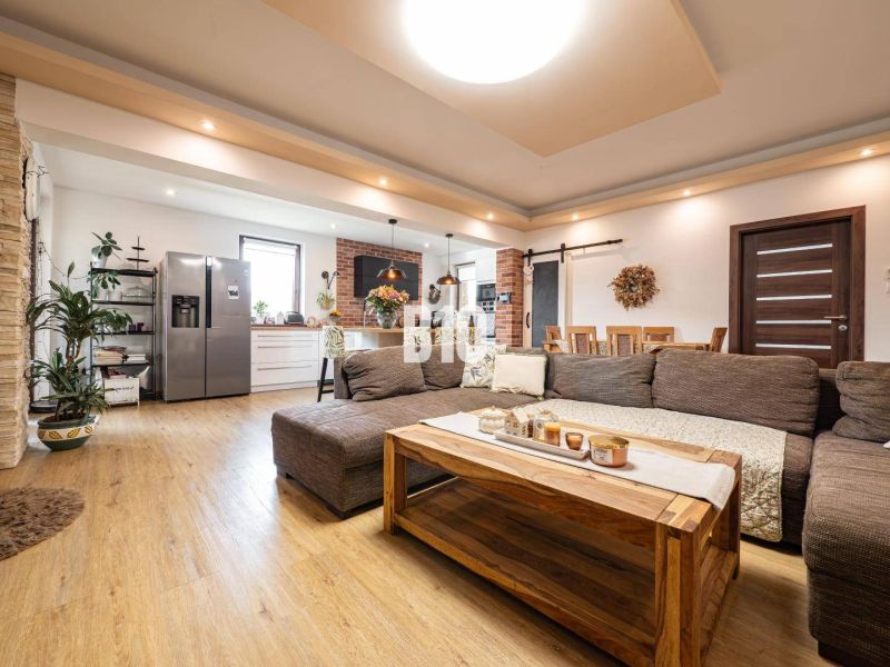 Living room with kitchen in a family house, sofa, wooden decor flooring, greenery.