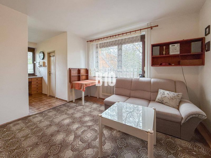 Living room in a family house with a carpet, sofa, coffee table, and kitchenette.