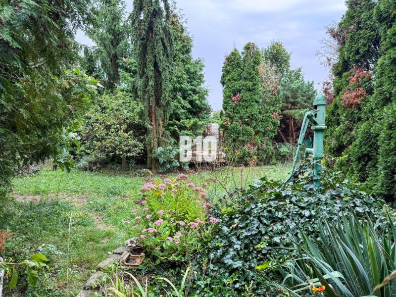 The garden of a family house in Vlkas with greenery and an old pump surrounded by plants.