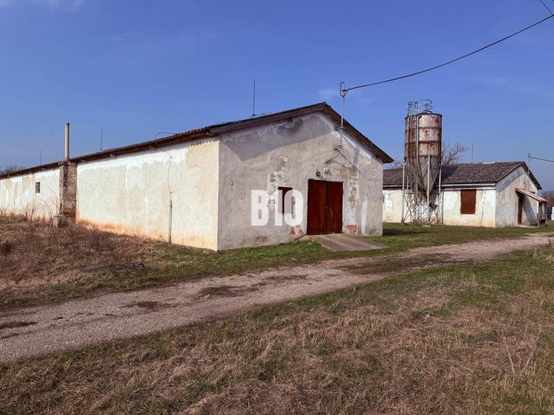 Production facilities in Turá with agricultural architecture and a silo in the background.