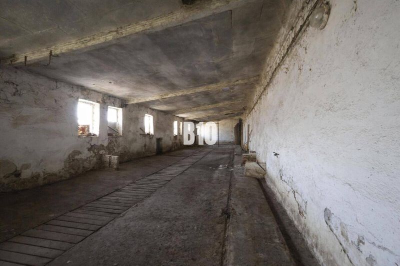 Abandoned industrial spaces with peeling plaster and narrow windows.