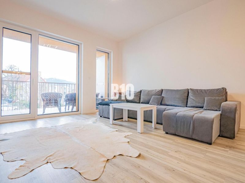 Living room in a three-room apartment with a sofa, a fur rug, and a wooden decor floor.