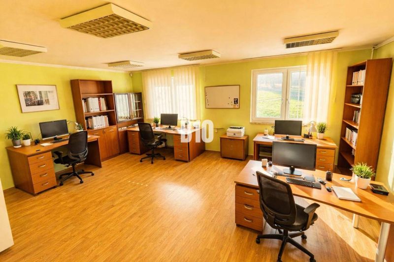An office in a building with a wooden floor decor, computers, desks, green walls, shelves.