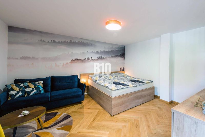 1-bedroom apartment with a sofa, bed, and wood-patterned flooring.