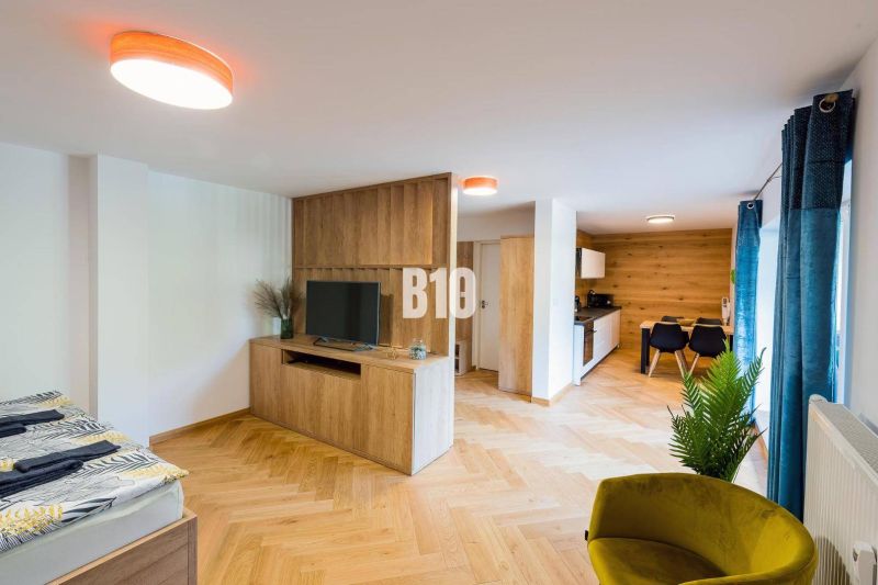 Interior of a 1-room apartment with a kitchen, decorative flooring, and a television.