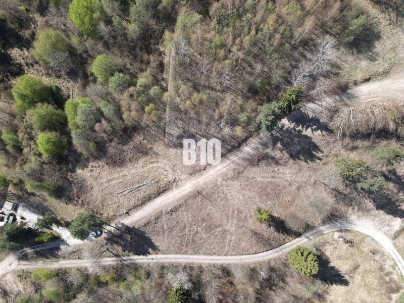 An aerial view of residential plots in Žilina surrounded by trees and a road.
