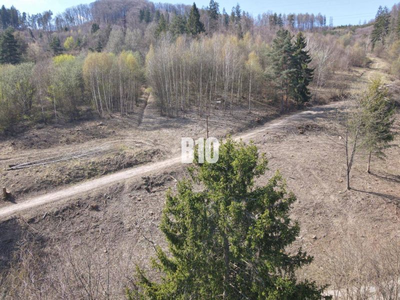 A sloped plot in Žilina for living with an access road and surrounded by forests.