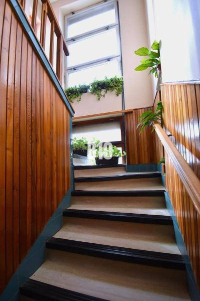 A staircase in a family house with wooden paneling and plants on the windowsill.