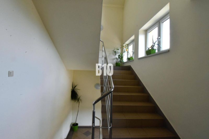 A staircase with a railing and plants next to the windows increases the natural lighting in the offices.