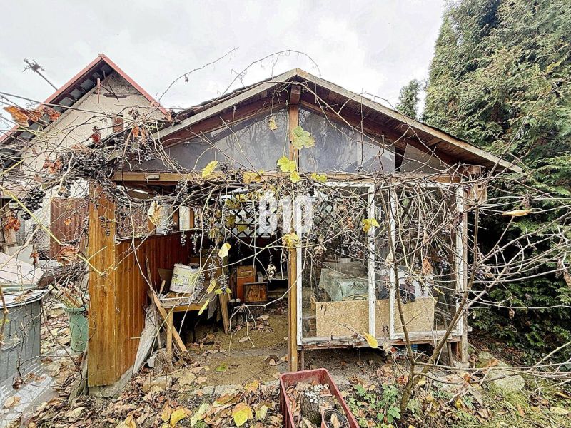 An old wooden shed overgrown with climbing plants near a family house in Kotešová.