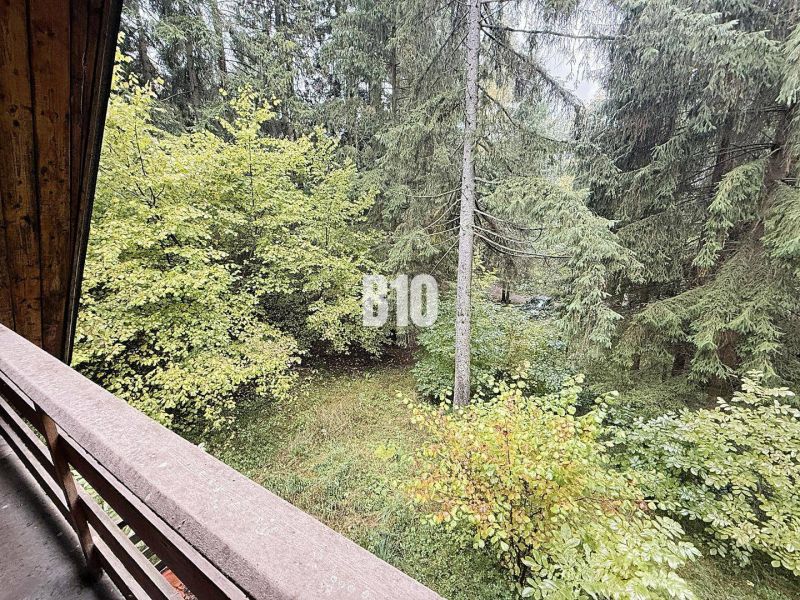 The view from the cottage in Kunerad to the green forest full of trees and leaves.
