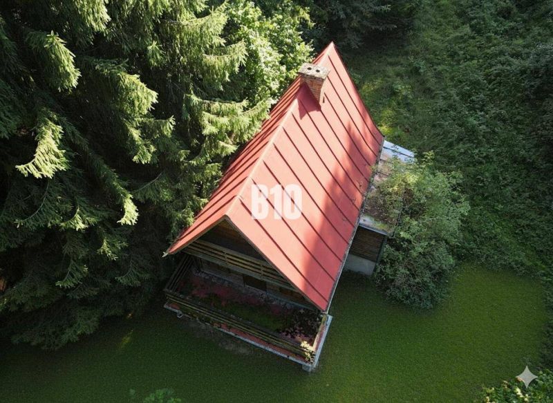 A cabin in Kunerad with a sloped roof and surrounded by dense tree vegetation.