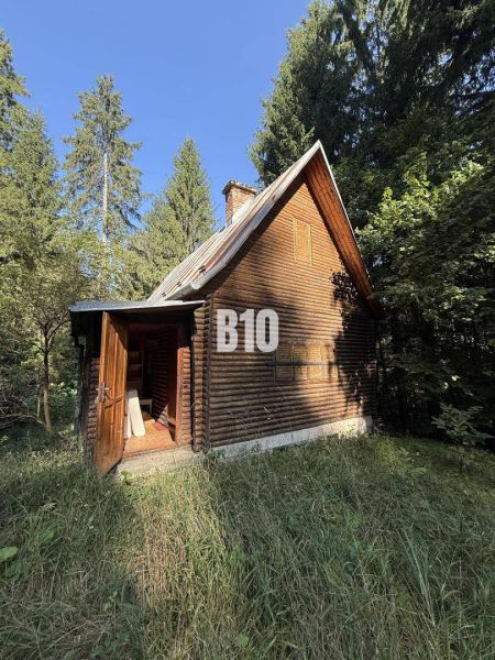 A wooden cabin in Kunerad surrounded by forest and blue sky.