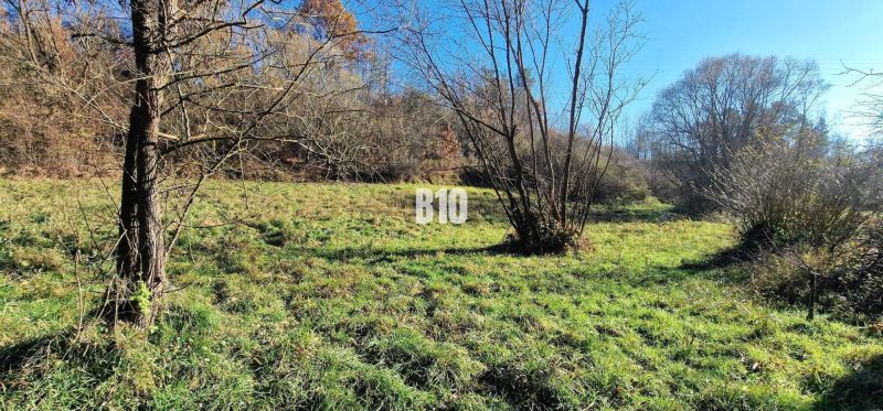 A grassy plot in Bytča surrounded by forest, suitable for living.