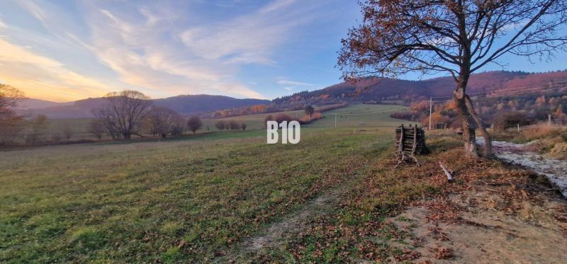 A landscape with pastures and trees, ideal for land and living in nature.