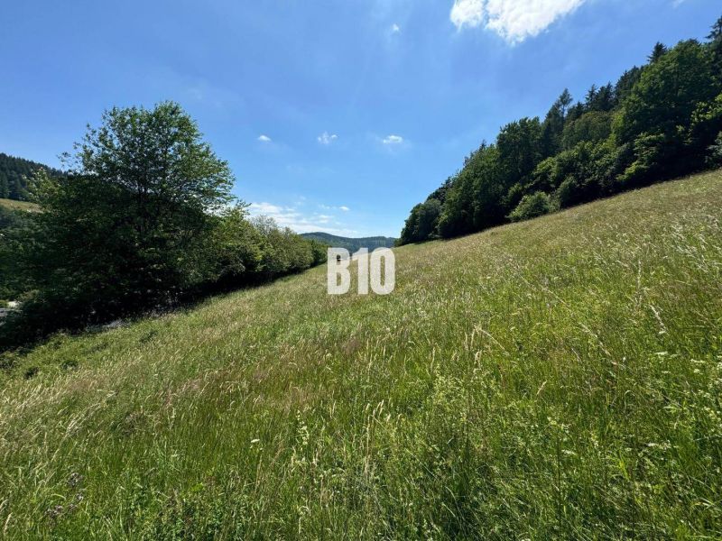 A wide meadow with a view, surrounded by trees in Dolný Vadičov, ideal for residential plots.
