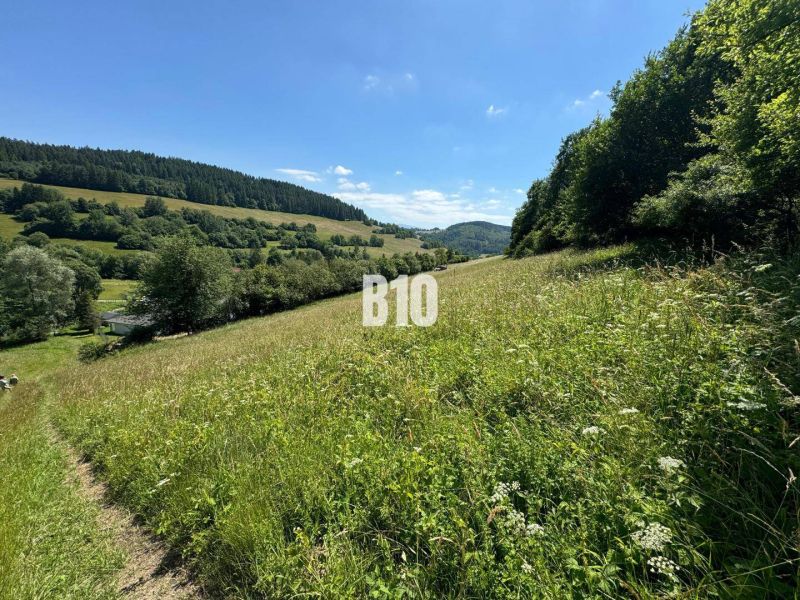 Hilly terrain with a meadow and forest in Dolný Vadičov, ideal for plots - housing.