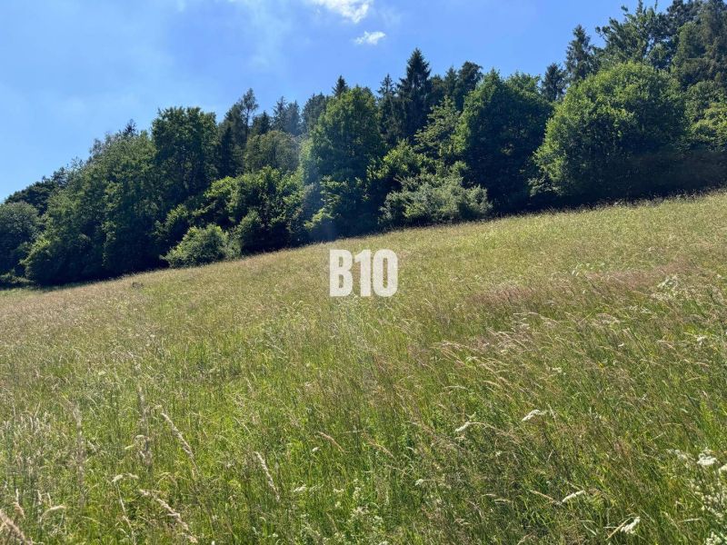A grassy plot in Dolný Vadičov surrounded by forest, ideal for living.