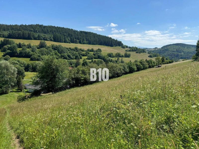 A vast land near Dolný Vadičov with grassy plots for living embraced by nature.