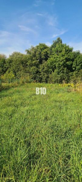 Peaceful plots in close proximity to greenery, suitable for living.
