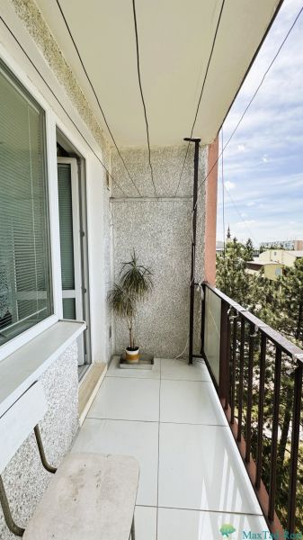 A balcony with a white floor and a plant in a studio apartment.