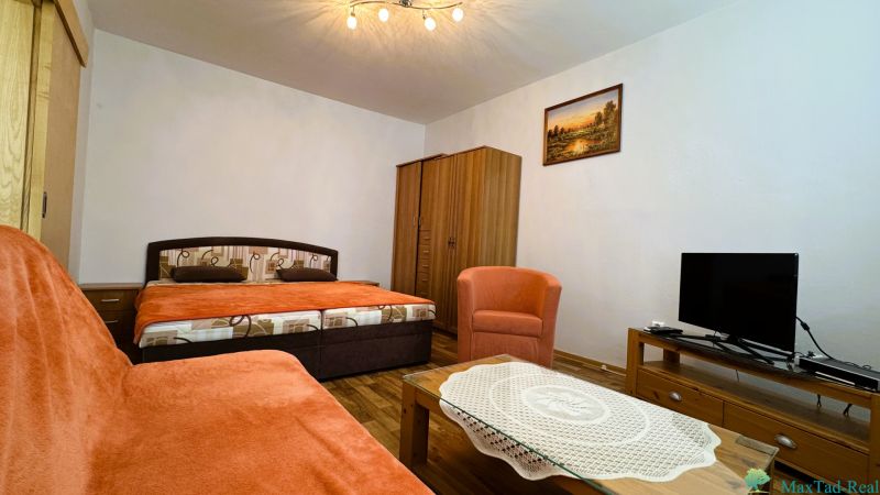 Living room with a sofa, bed, armchair, and television, studio apartment, floor with wood decor.