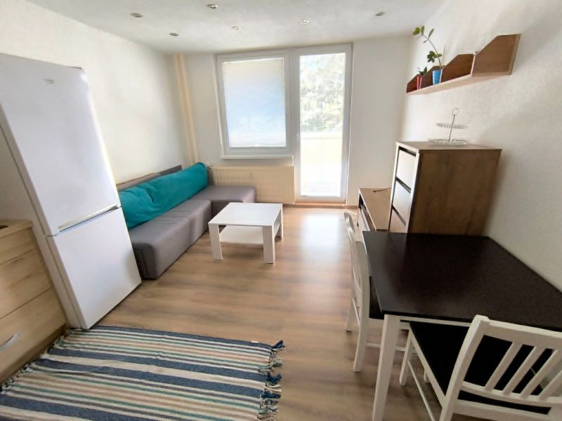 Living area in a studio apartment with wood-patterned flooring, a couch, and a table.