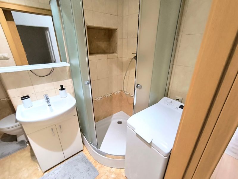 A bathroom with a shower and a washing machine in a studio apartment.