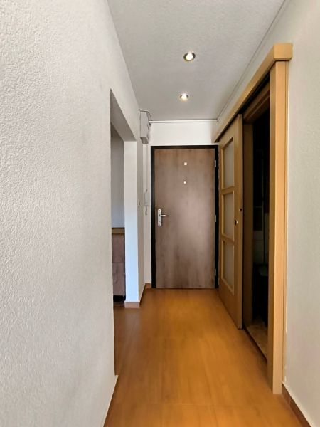 A hallway in a one-room apartment with a wooden decor floor and entrance door.