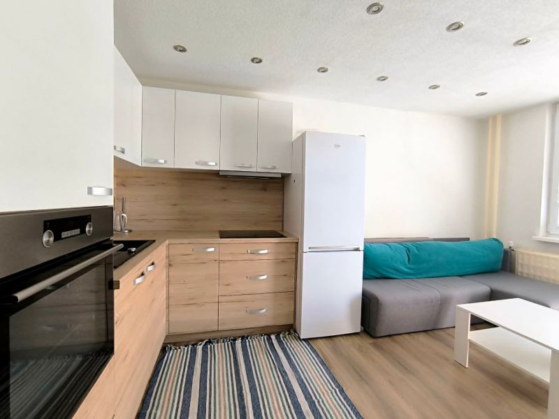 A kitchen in a studio apartment with a wood-patterned floor and a sofa.