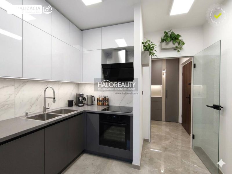 A modern kitchen in a studio apartment with an entrance and plants creates a harmonious space.