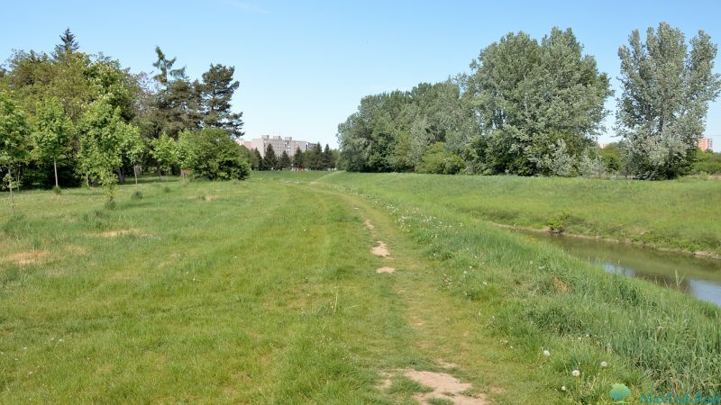 Lawn and tree line by the river on J. M. Hurban Embankment in Michalovce.