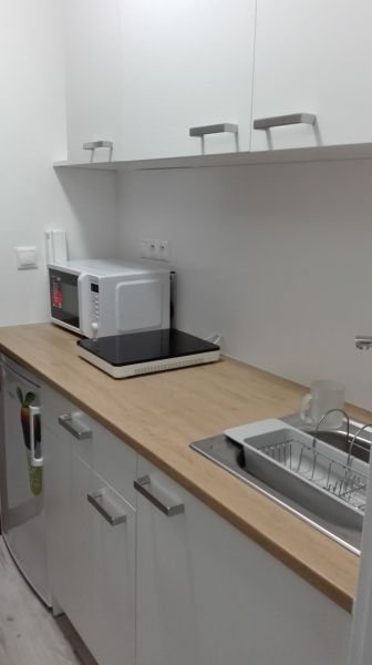 Kitchen unit in a studio apartment with a microwave, hob, and wooden decor.