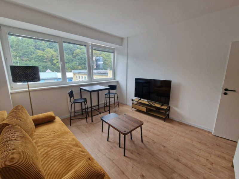 Living room with a sofa, television, and wooden decor flooring in a 2-room apartment.