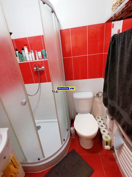 A bathroom in a studio apartment with red tiles and a shower corner.