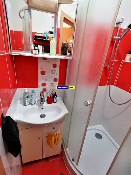 A bathroom with red tiles, a shower corner, and a sink in a studio apartment.