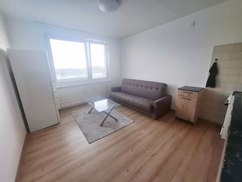 Living room in a studio apartment with a sofa, table, and wooden decor flooring.