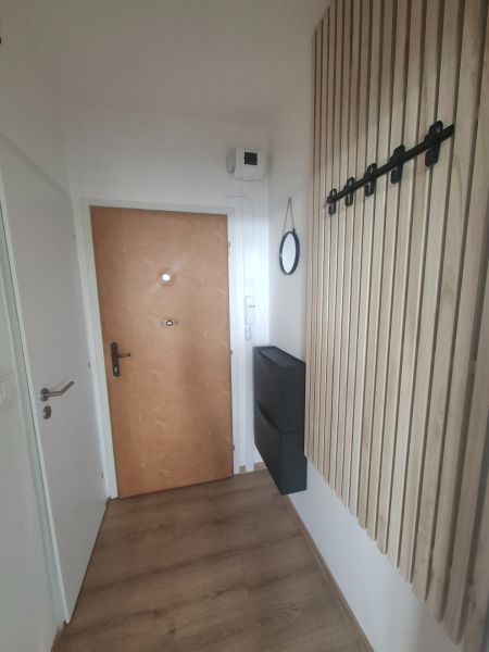Entrance hall in a one-room apartment with a wooden decor floor, mirror, and storage space.
