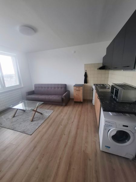Living area in a studio apartment with a sofa, glass table, and wood-patterned flooring.