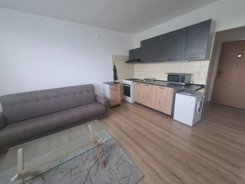 Living area of a studio apartment with a wooden decor floor, sofa, and kitchenette.