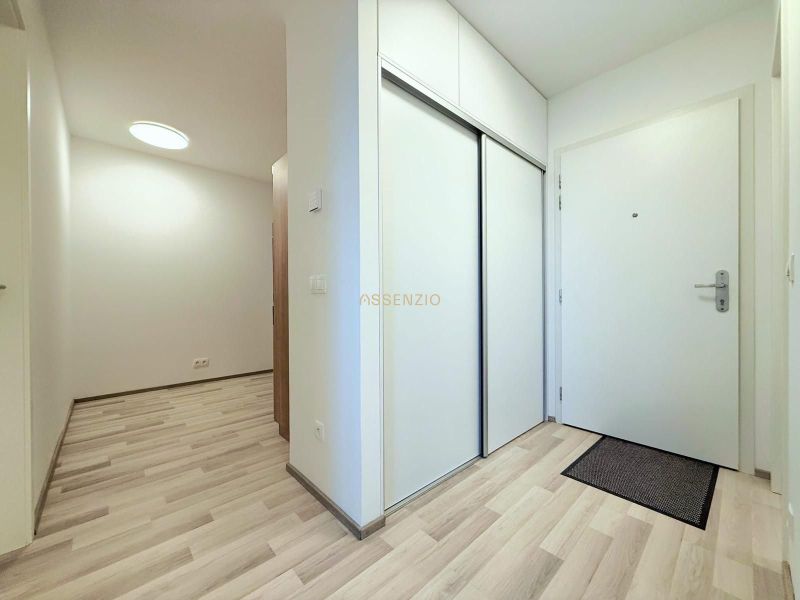 Entrance hall in a 2-room apartment, floor with wood decor, spacious built-in wardrobe.
