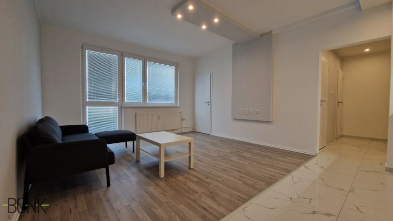 Living room in a two-room apartment with a wooden decor floor, sofa, and coffee table.