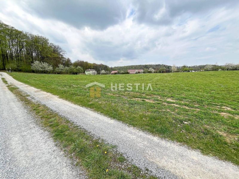 A road near residential plots in Bukovec, surrounded by greenery and houses.