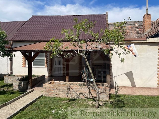 A family house in Palárikovo with a small garden and a tree in front of the terrace.