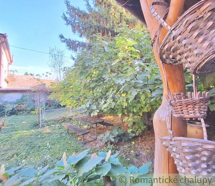 A garden at a family house in Gbelce with a bench, a swing, and abundant greenery.