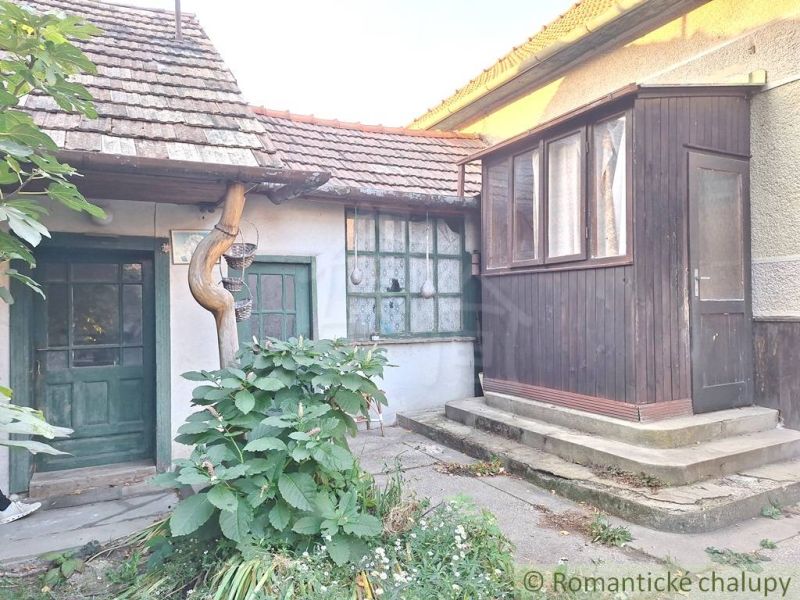 The entrance area of a family house in Gbelce with wooden doors and plants.