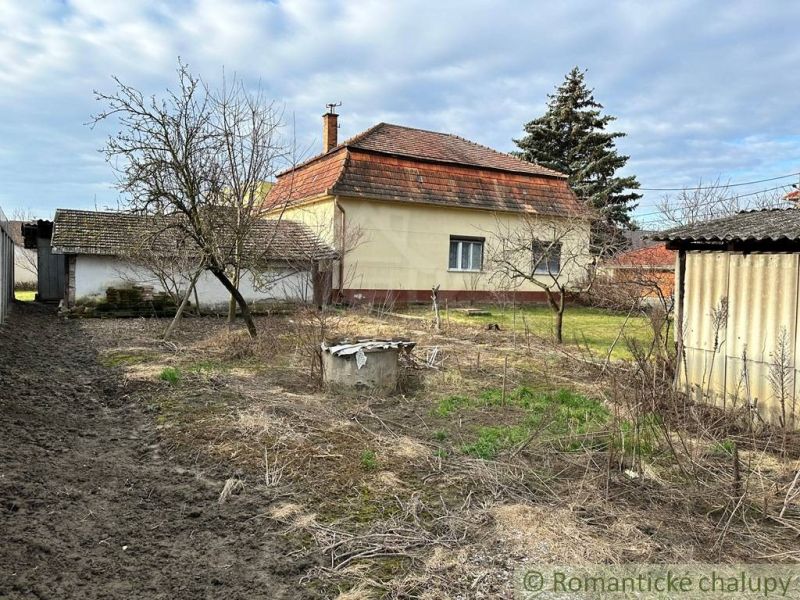 A family house in Kolárovo with a spacious garden, trees, and an adjacent building.